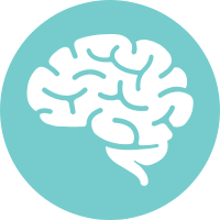 Academy Brain (1)